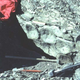 Vértebras numeradas de ictiosaurio in situ